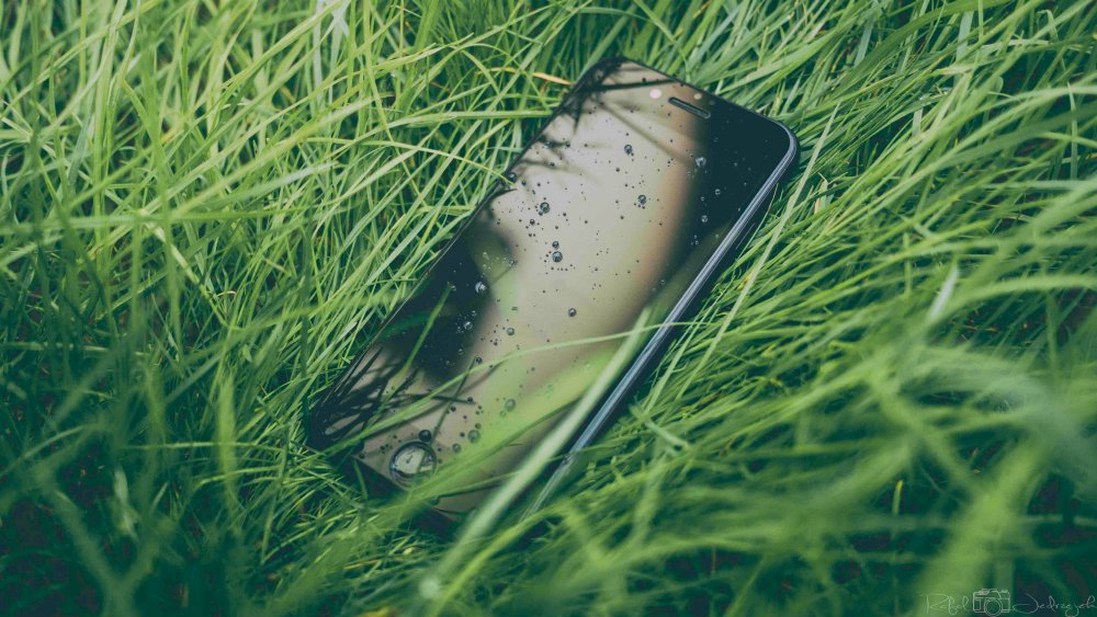iPhone molhou